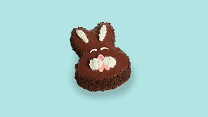 Chocolate Bunny Cake